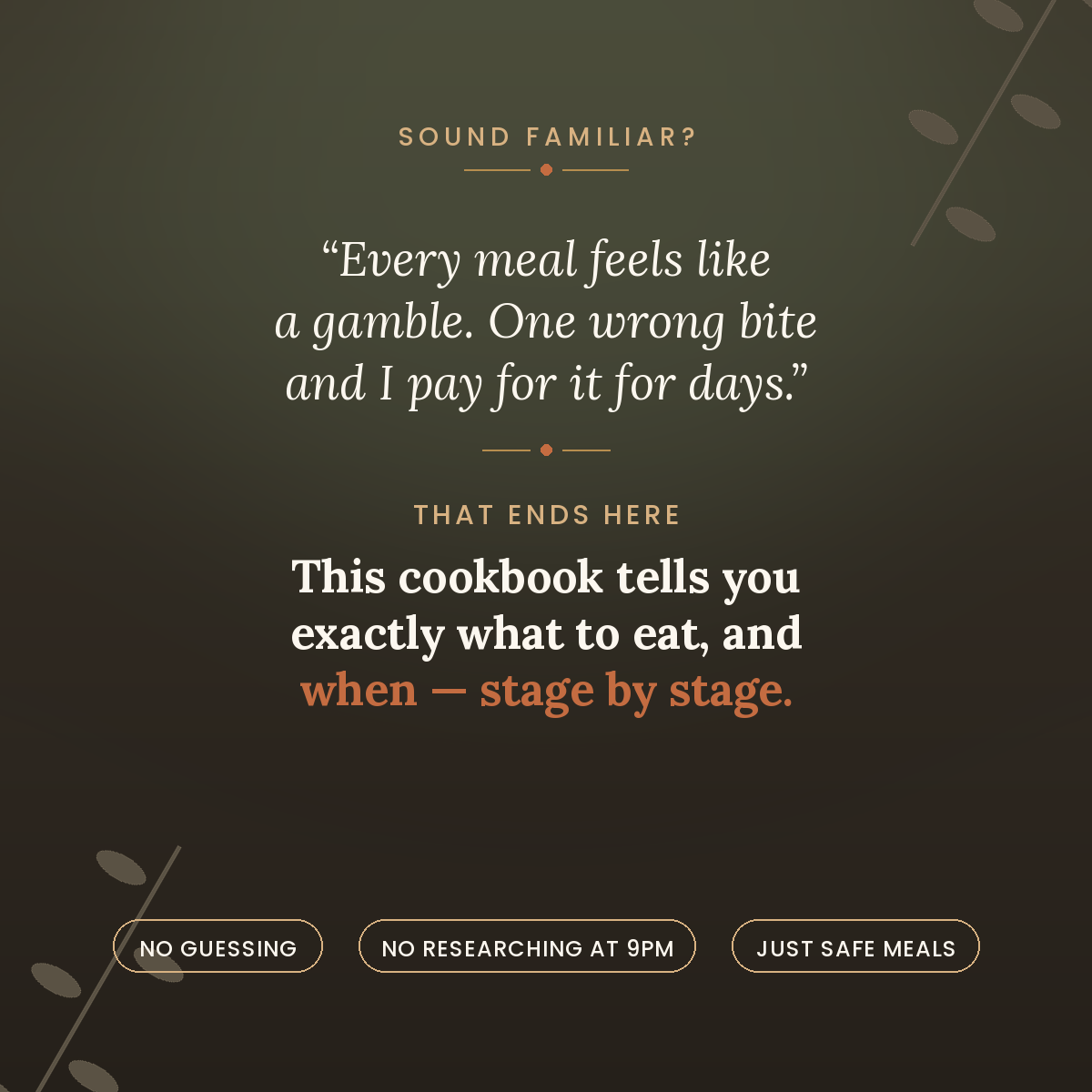 Diverticulitis Cookbook — The Problem It Solves